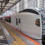 Narita Express Train N' EX
