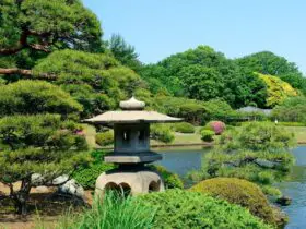 Tokyo garden